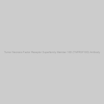 Abbexa - Tumor Necrosis Factor Receptor Superfamily Member 10D (TNFRSF10D) Antibody
